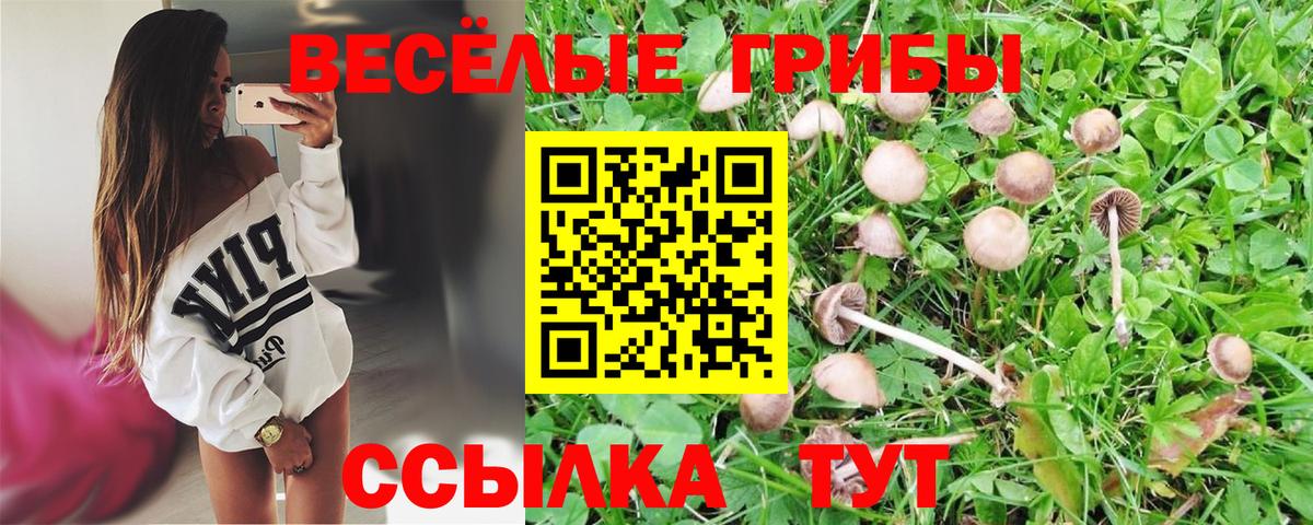 Галлюциногенные грибы ЛСД  Вход с VPN  купить наркотики сайты  Обнинск 